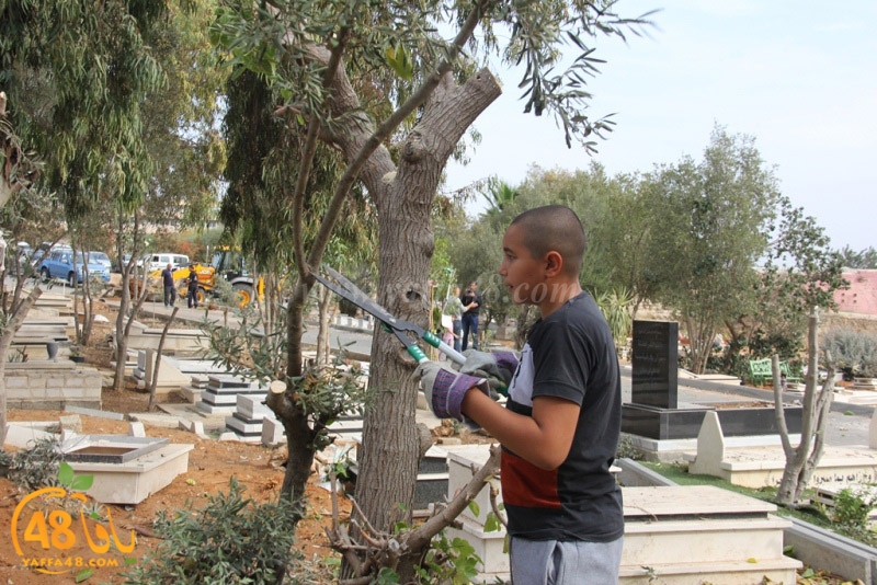 tasoooi3i1412 (49).JPG